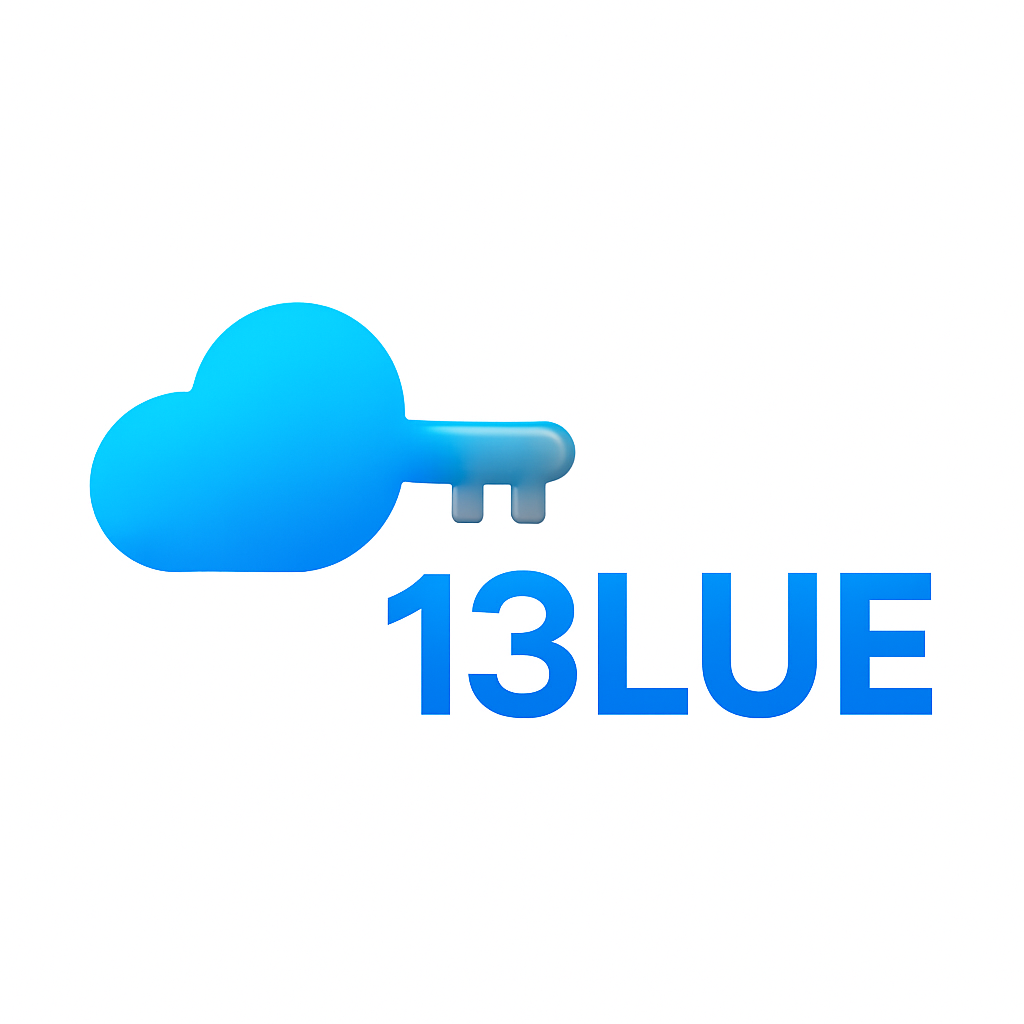13LUE LLC